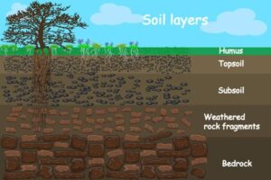 SOIL LAYERS